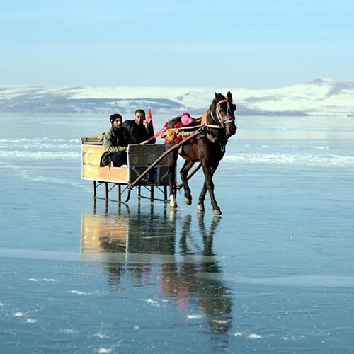 Ardahan
