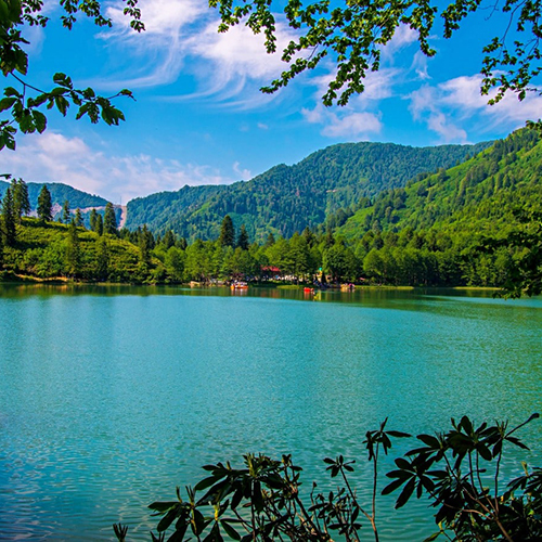 Artvin