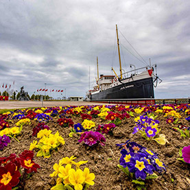 Bandırma Ferry