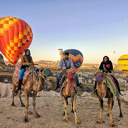 Camel Safari Tours