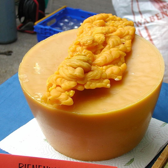 Bartin Wax Dessert