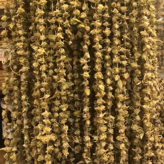Amasya Flower Okra