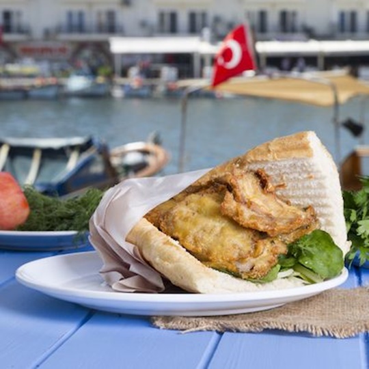 Bosphorus Bluefish