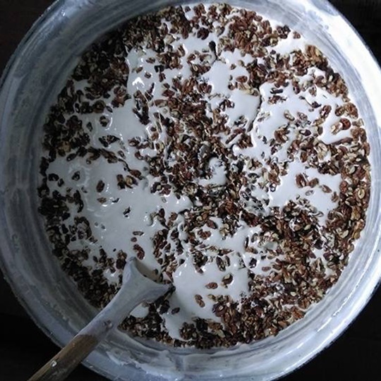 Cide Walnut Halva