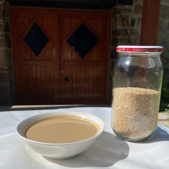 Sirnak Dergul Tahini