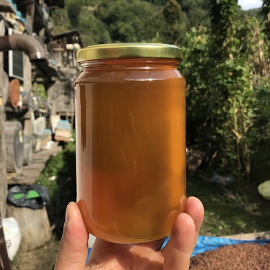 Hatila Honey