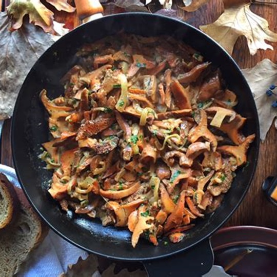 Milas Roasted Cintar