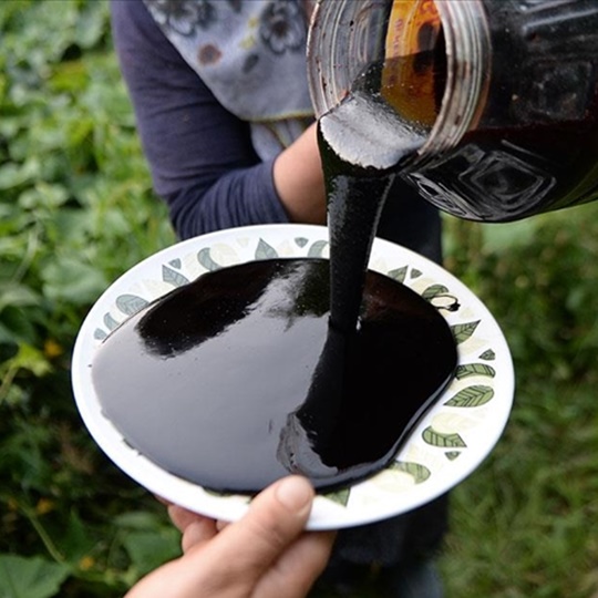 Sivan Mulberry Molasses