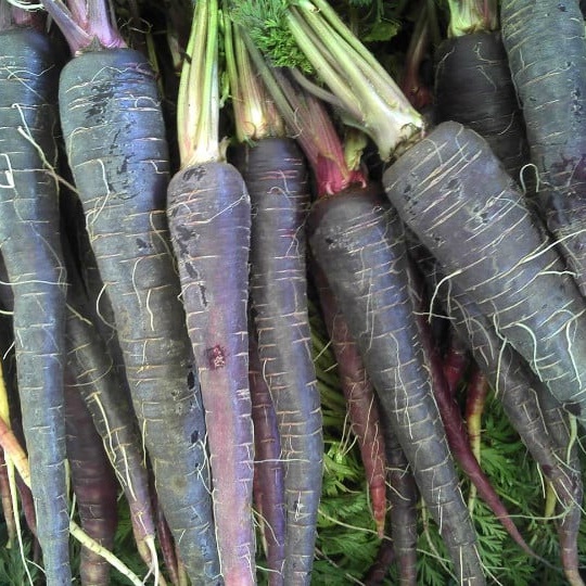 Eregli Black Carrot