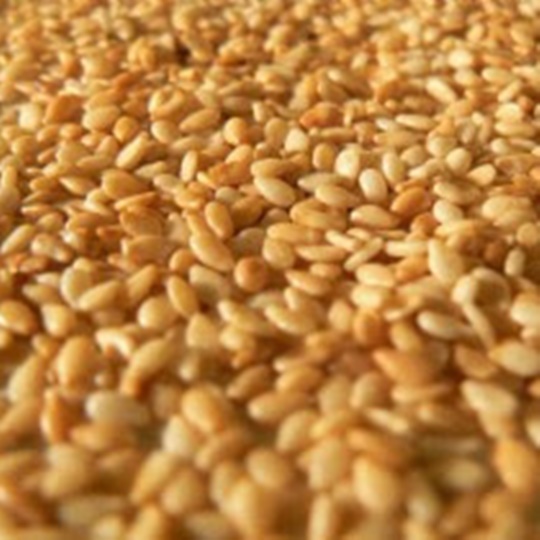 Manavgat Golden Sesame