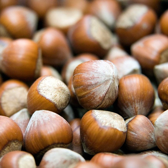Giresun Chubby Hazelnut