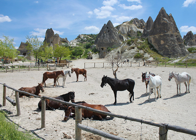 Cappadocia Horse-Back Riding Tours
