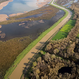 Kizilirmak Delta Wetland and Bird Sanctuary