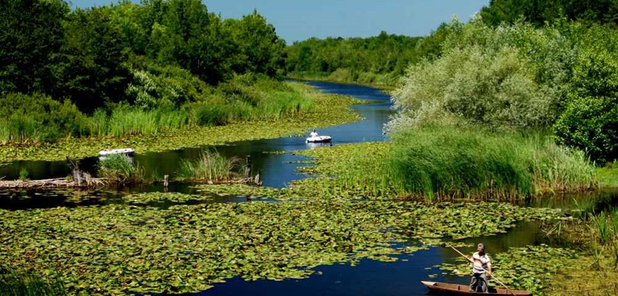 Acarlar Floodplain Forest