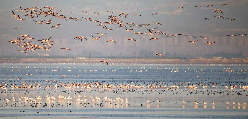 Akyatan Wildlife Development Area