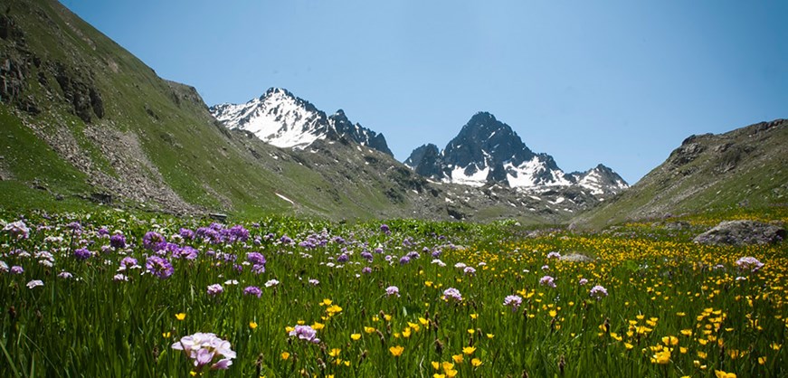 Kackar Mountains National Park