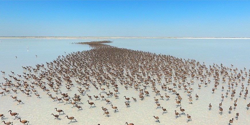 Lake Tuz - Salt Lake
