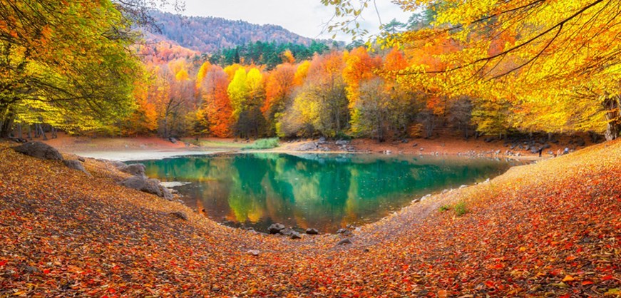 The Yedigoller (Seven Lakes) National Park