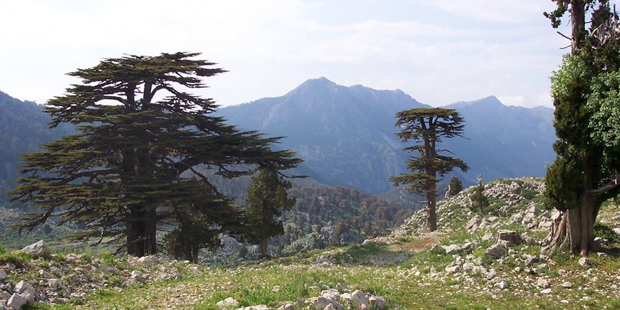 The Lycian Way