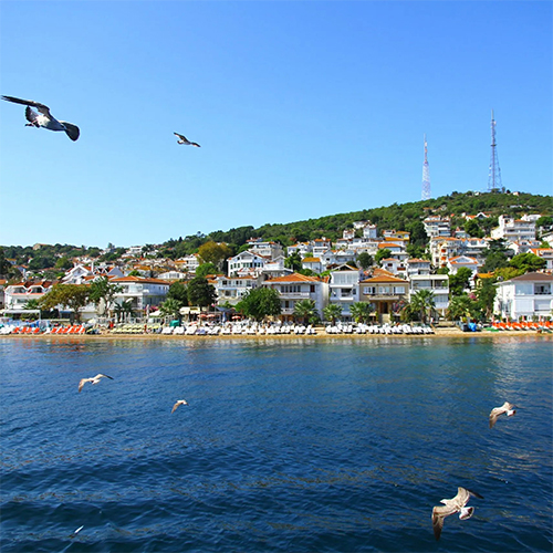 Princess Islands