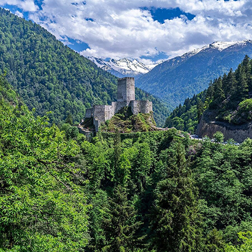 Rize