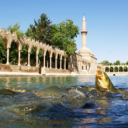 Sanliurfa