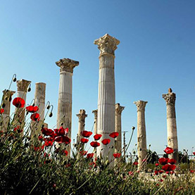 Soli Pompeiopolis Ancient City