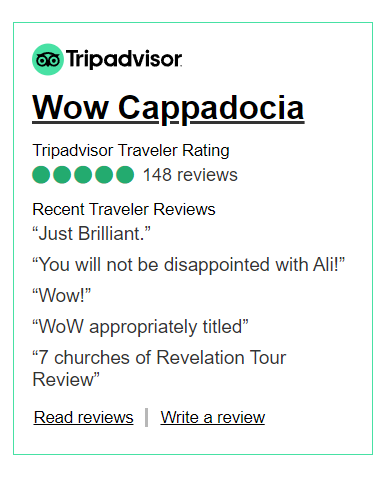 Trip Advisor