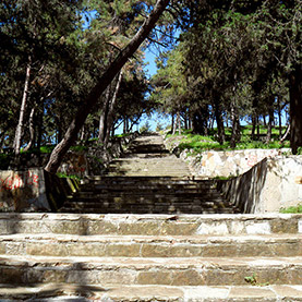The Yumuktepe Tumulus